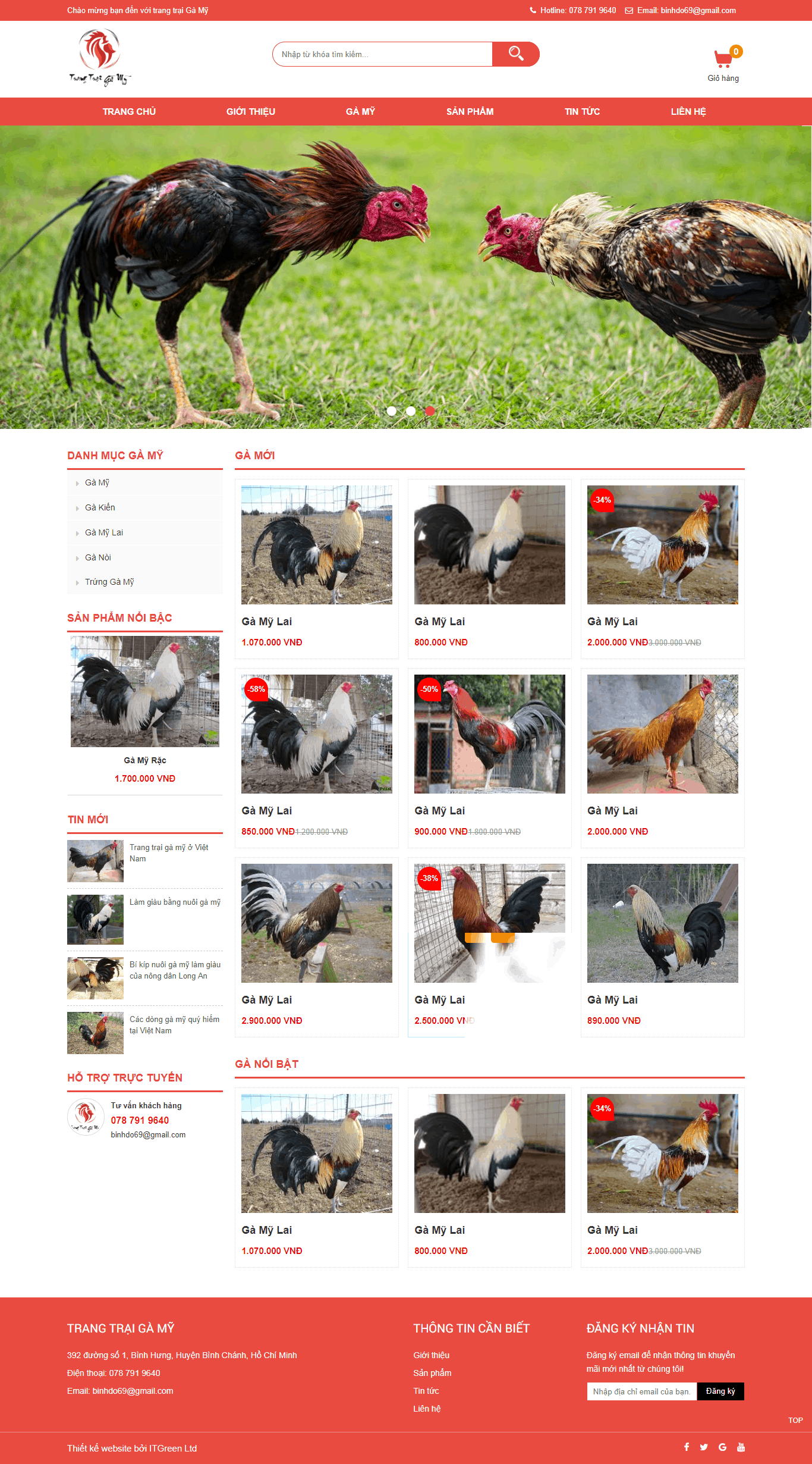 Thiết kế website Thiết kế website sản phẩm ga my